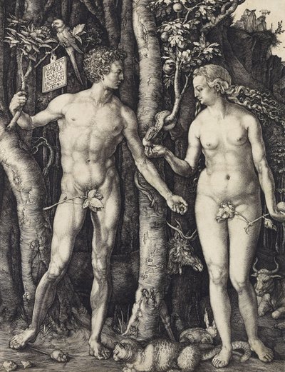 Adam and Eve by Albrecht Dürer